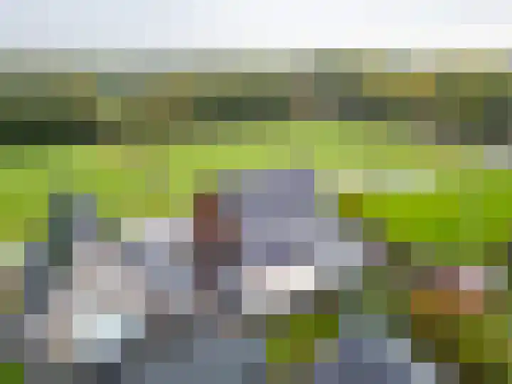 De Kniepe 3 Stuifzand thumbnail 43