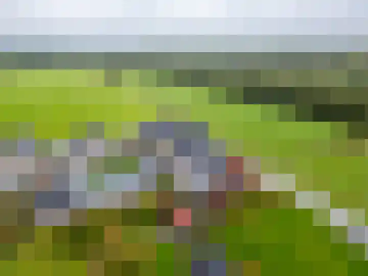De Kniepe 3 Stuifzand thumbnail 44