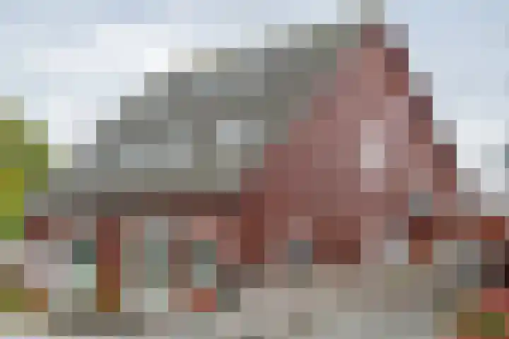 De Kniepe 3 Stuifzand thumbnail 9