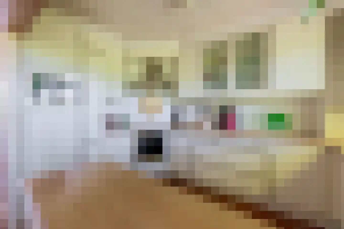 De Knip 28 Zevenbergen thumbnail 16