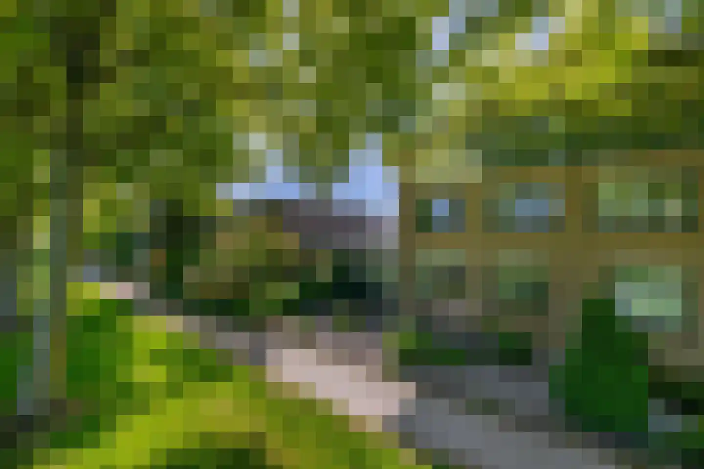 De Knip 28 Zevenbergen thumbnail 6