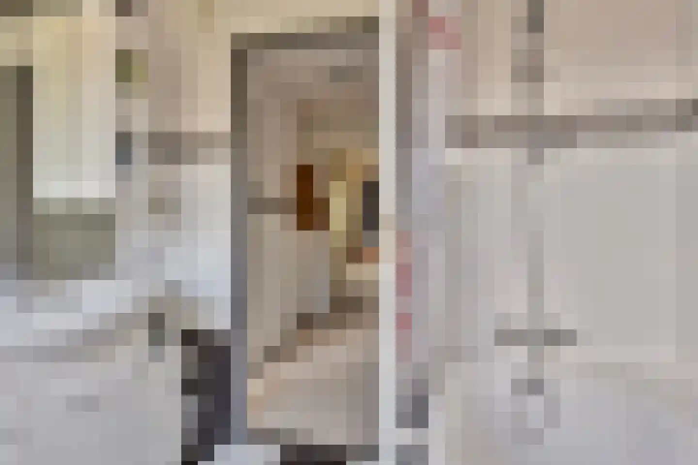 De Knip 78 Zevenbergen thumbnail 18