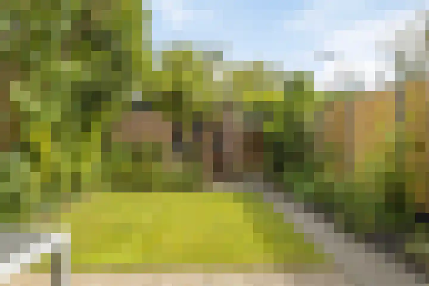 De Knip 78 Zevenbergen thumbnail 5