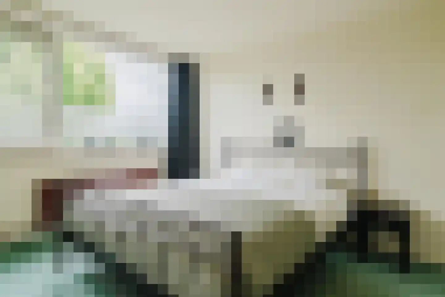 de Knobbe 17 Heino thumbnail 14