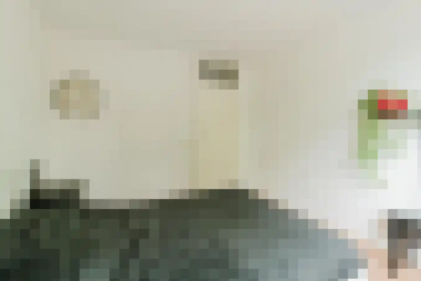 de Knobbe 17 Heino thumbnail 19