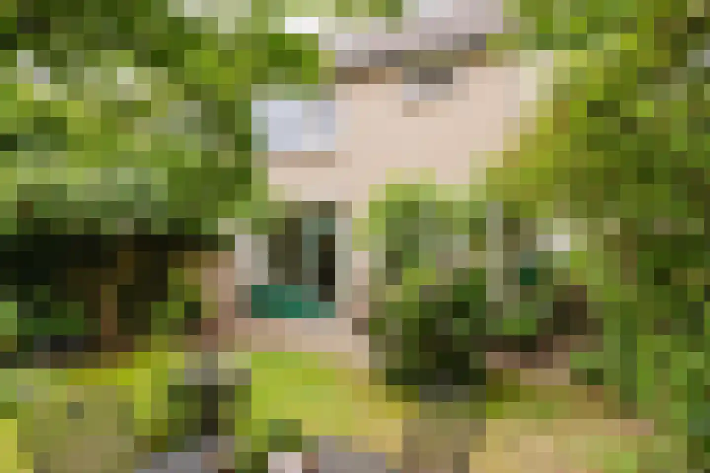 de Knobbe 17 Heino thumbnail 27