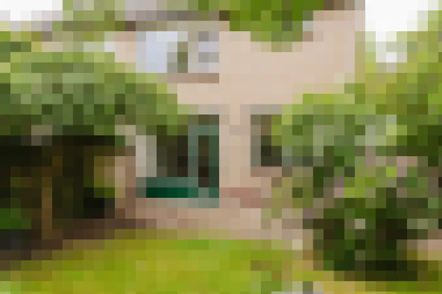 de Knobbe 17 Heino thumbnail 28