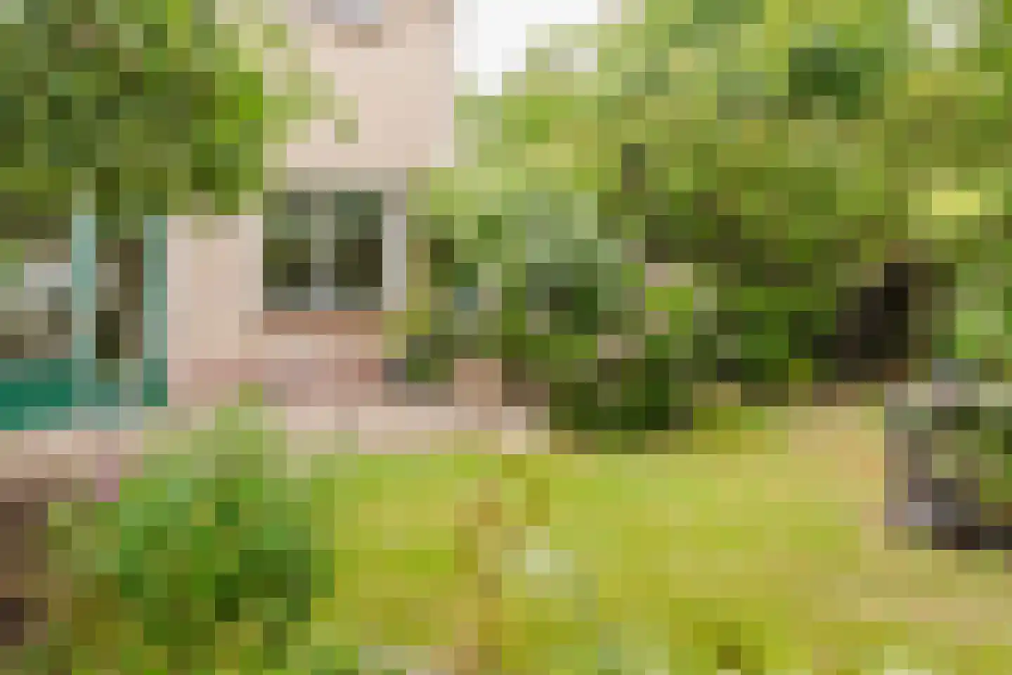 de Knobbe 17 Heino thumbnail 29