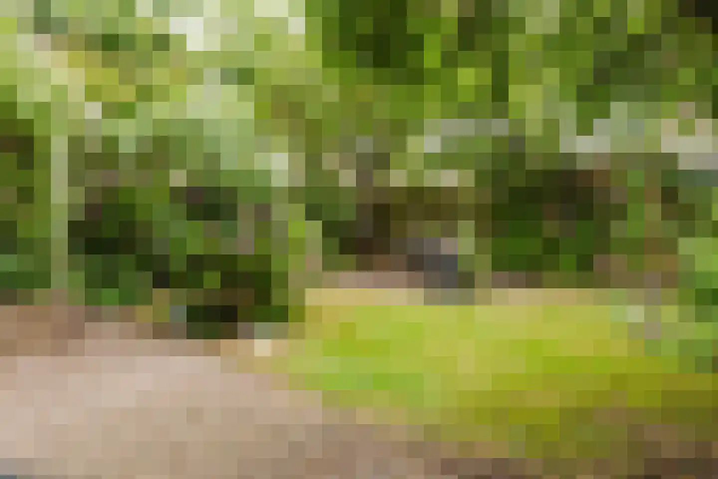 de Knobbe 17 Heino thumbnail 30