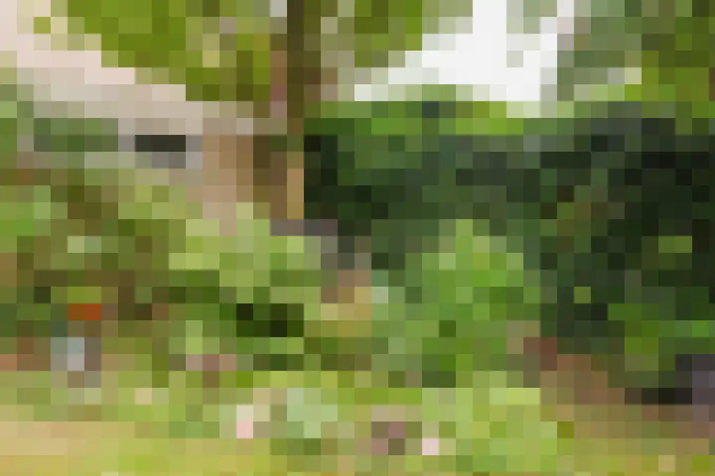 de Knobbe 17 Heino thumbnail 33