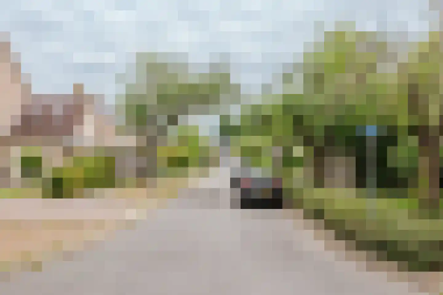 de Knobbe 17 Heino thumbnail 39