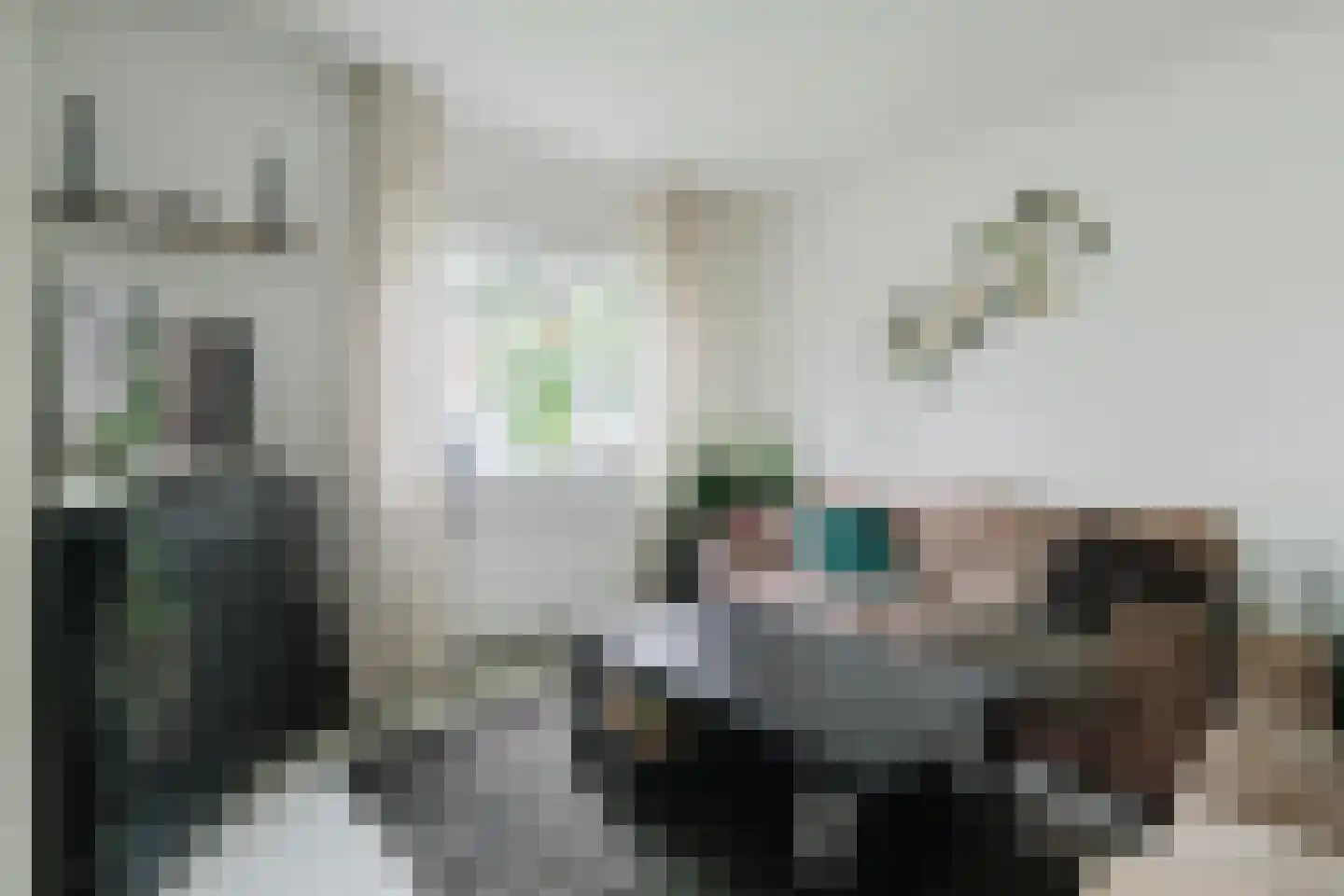 de Knobbe 17 Heino thumbnail 4