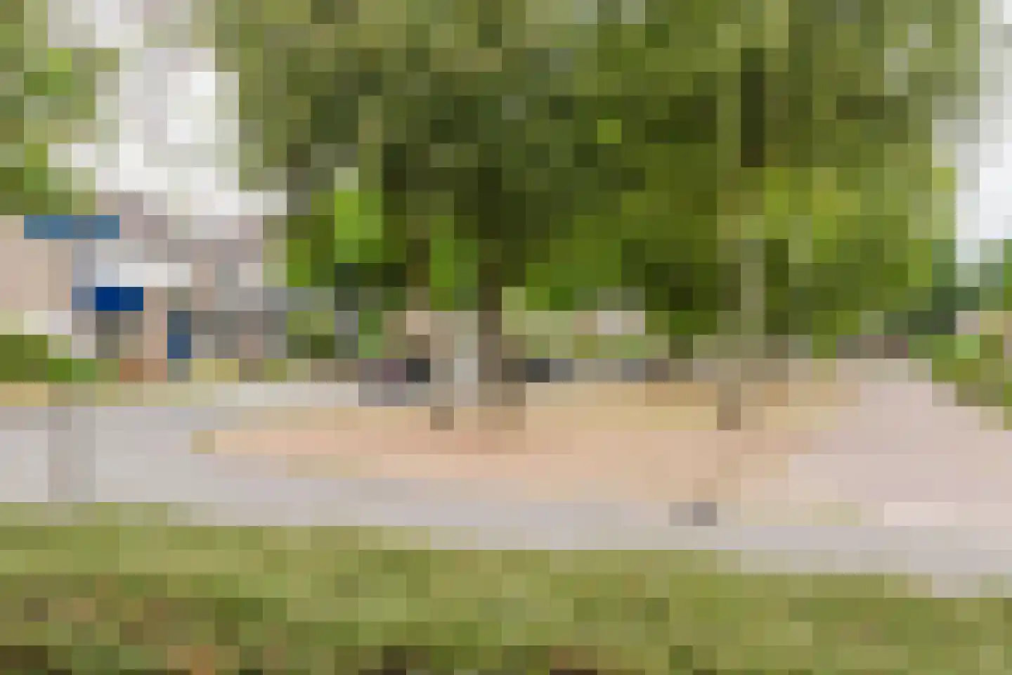 de Knobbe 17 Heino thumbnail 41