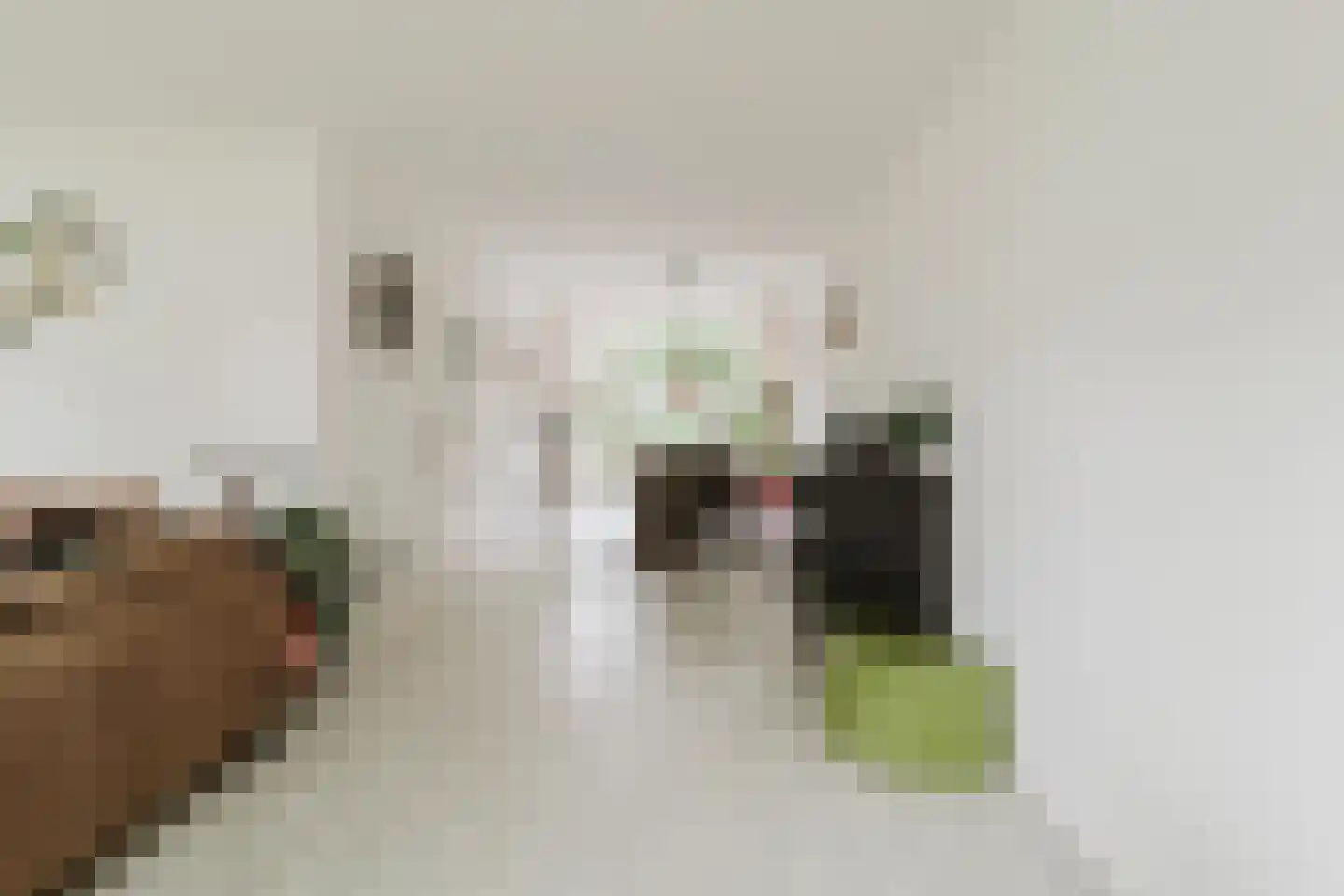 de Knobbe 17 Heino thumbnail 6