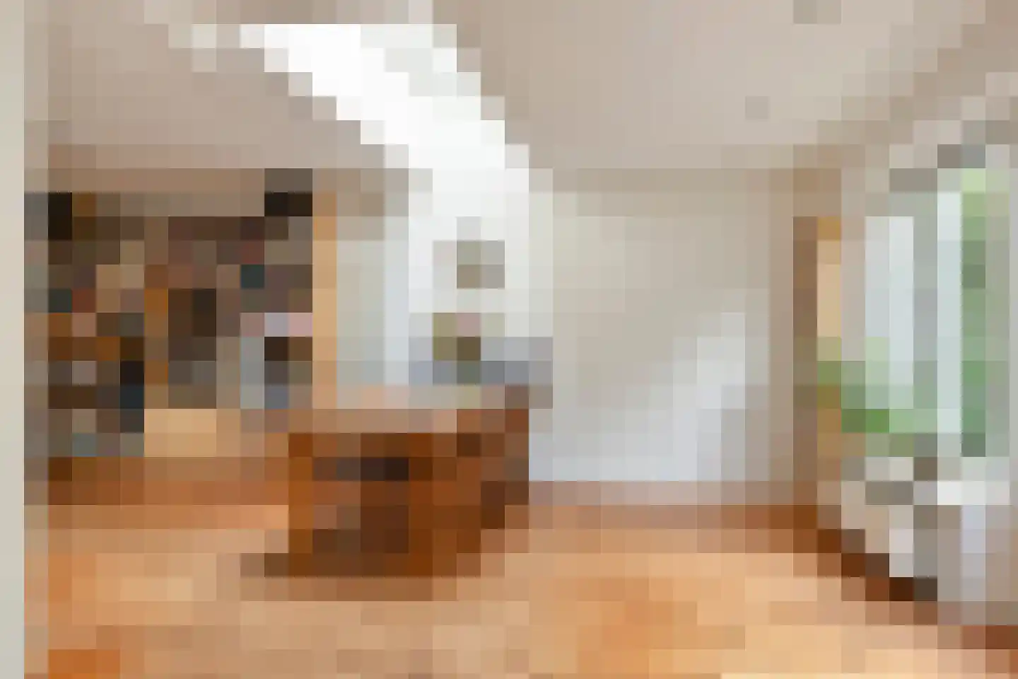 de Knobbe 6 Heino thumbnail 17