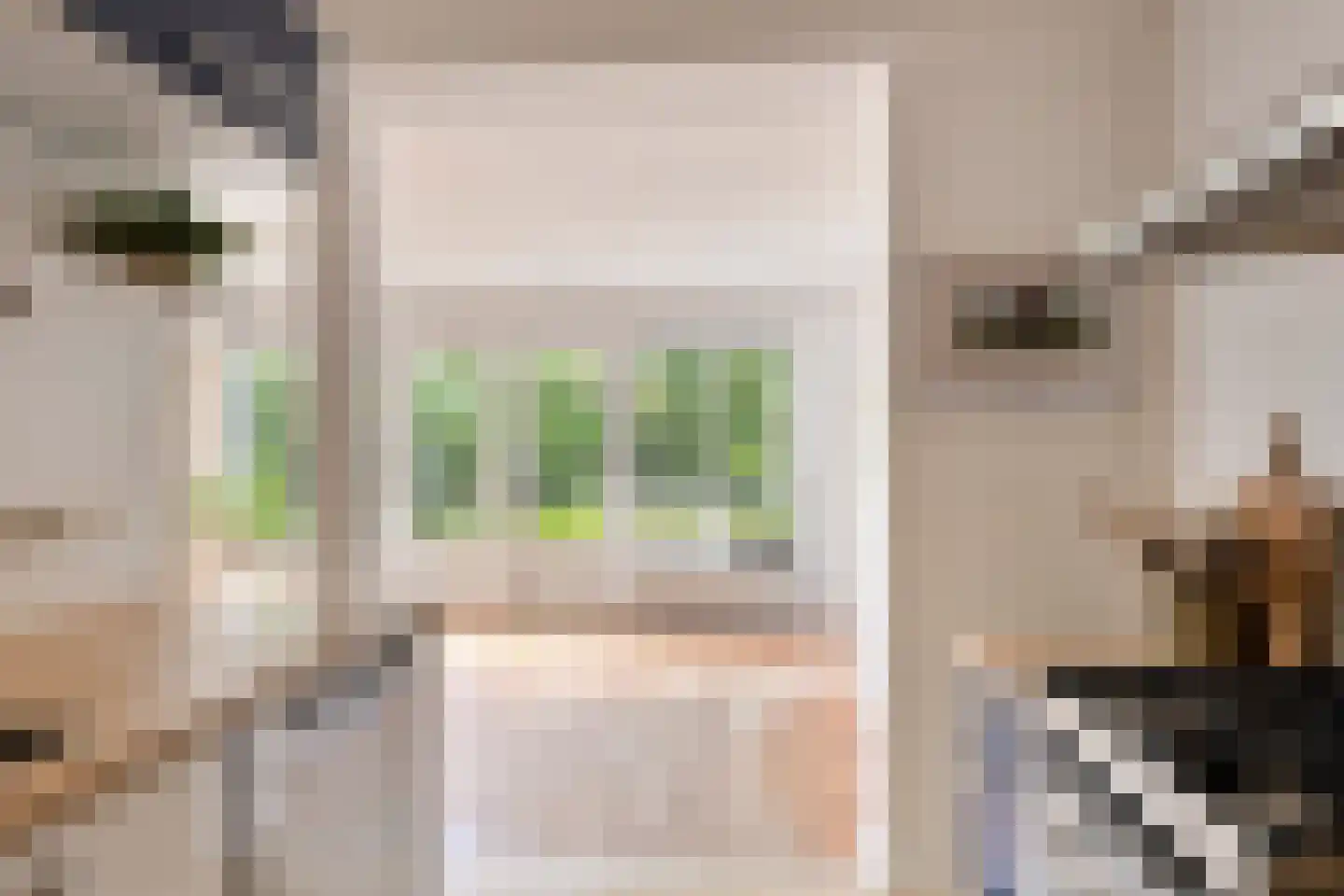 de Knobbe 6 Heino thumbnail 23