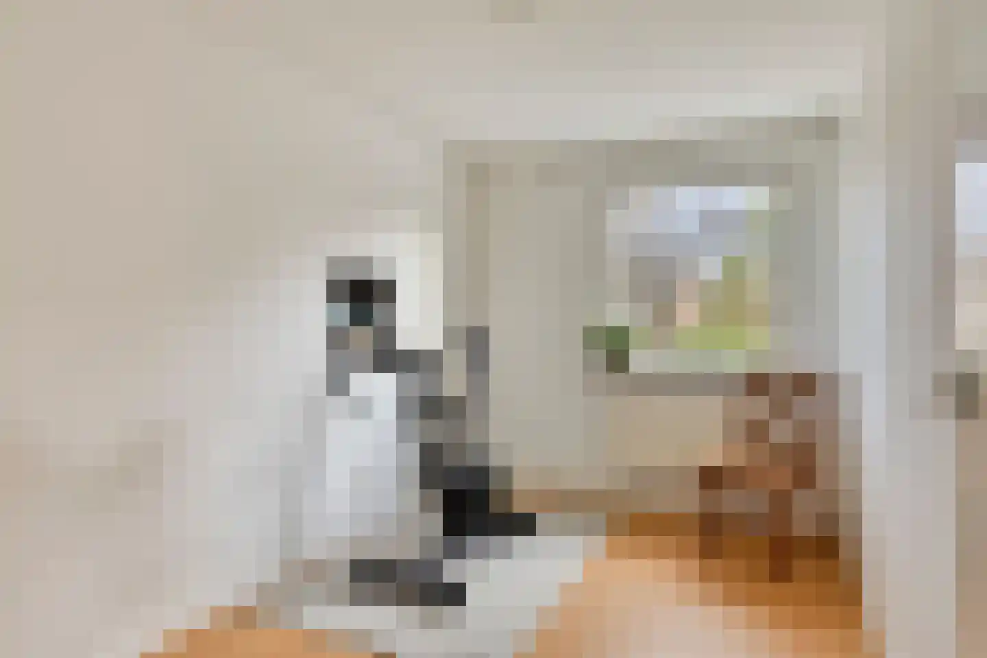 de Knobbe 6 Heino thumbnail 37