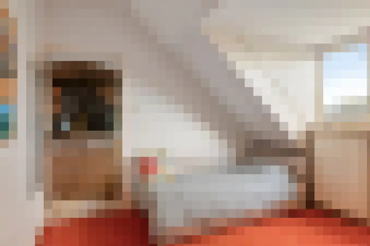 de Knobbe 6 Heino thumbnail 44
