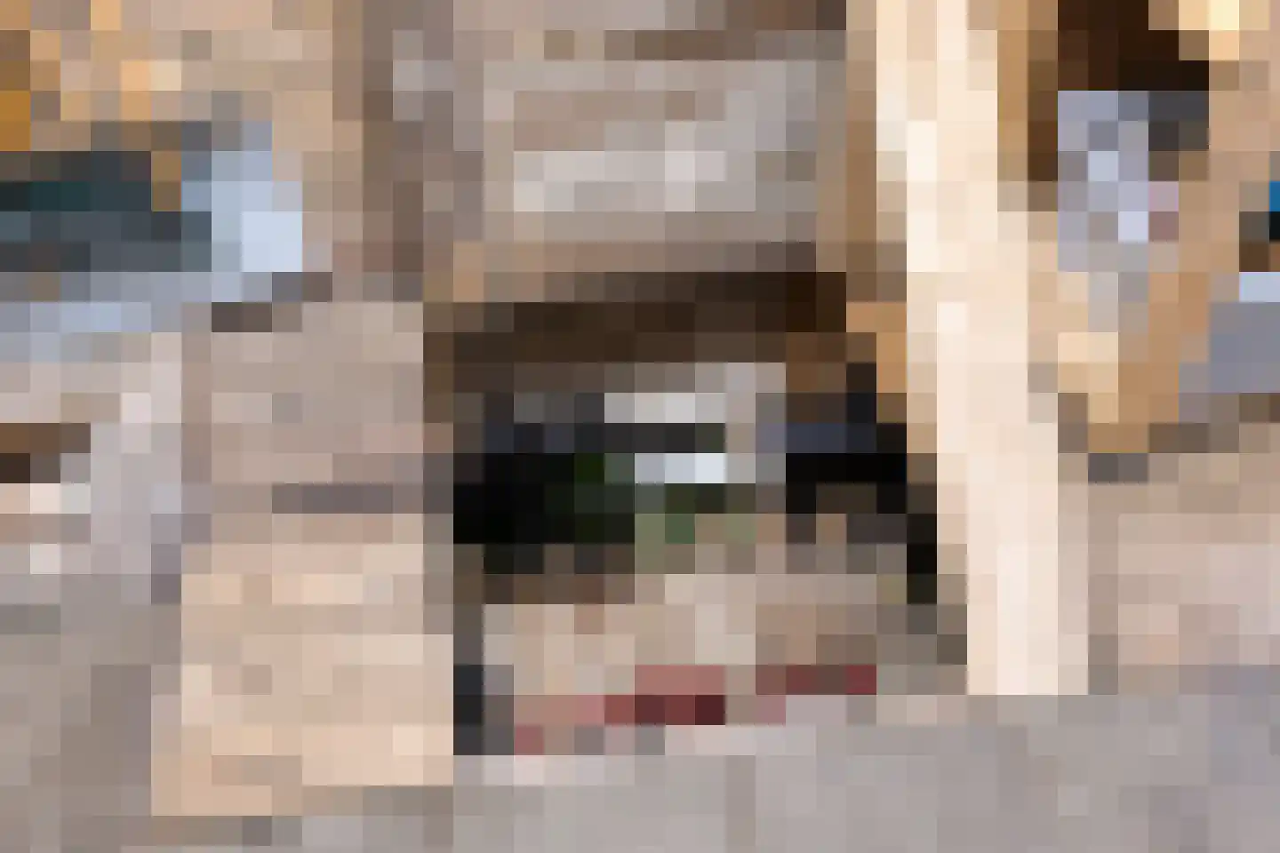 de Knobbe 6 Heino thumbnail 47