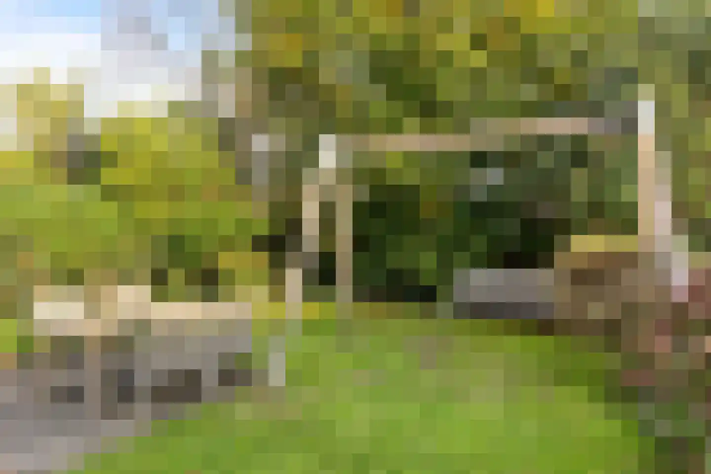de Knobbe 6 Heino thumbnail 48