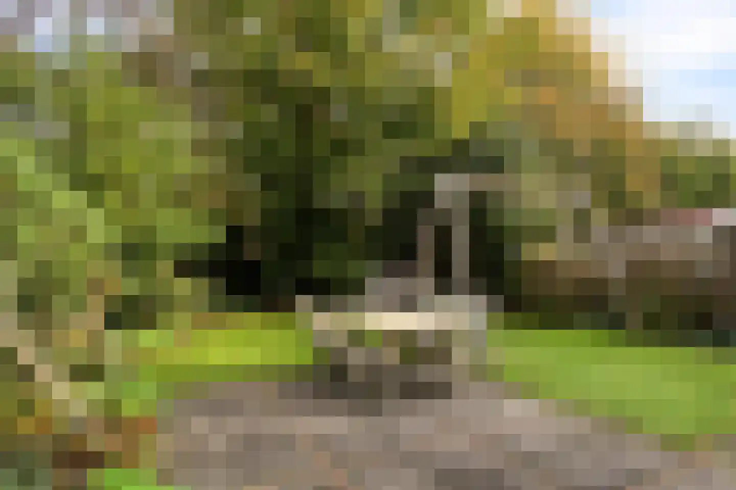 de Knobbe 6 Heino thumbnail 49