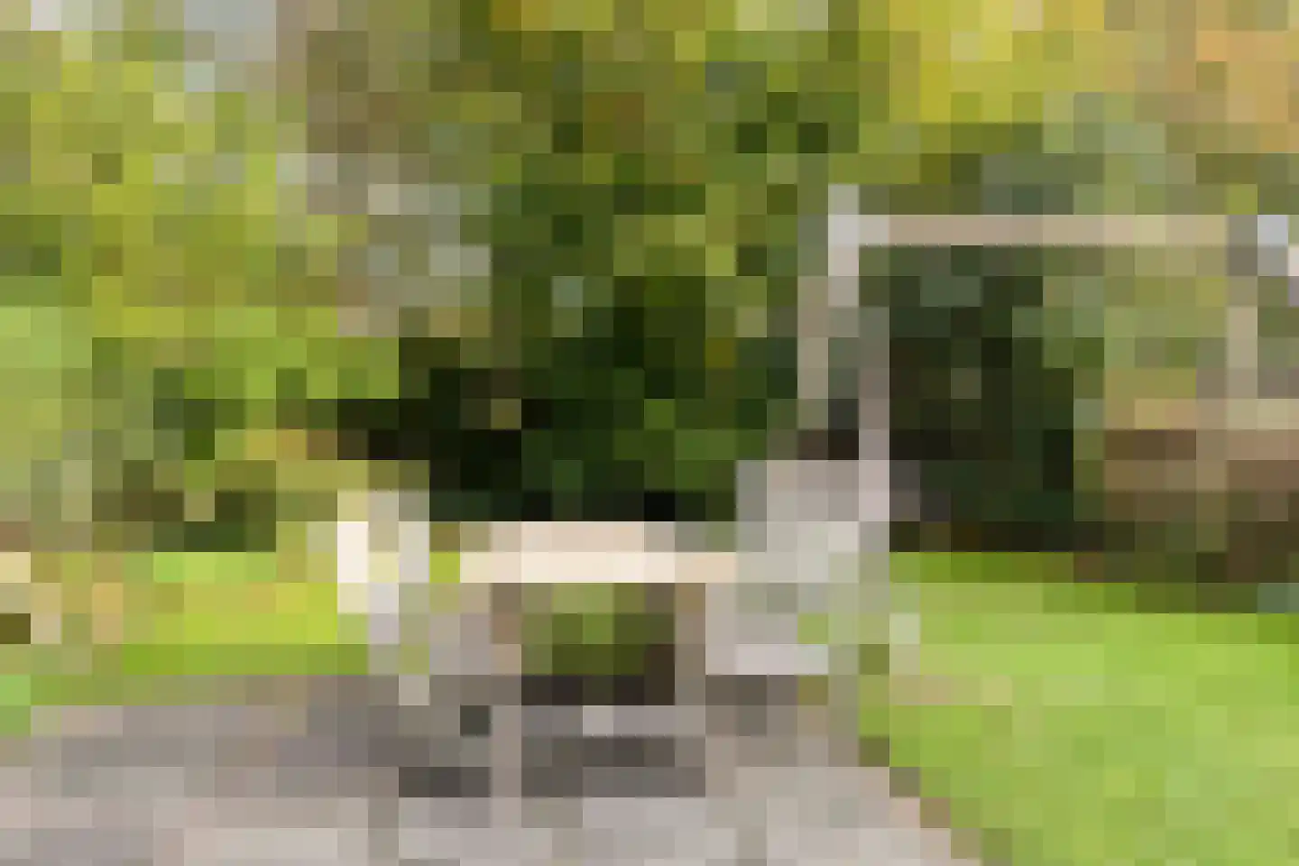 de Knobbe 6 Heino thumbnail 50