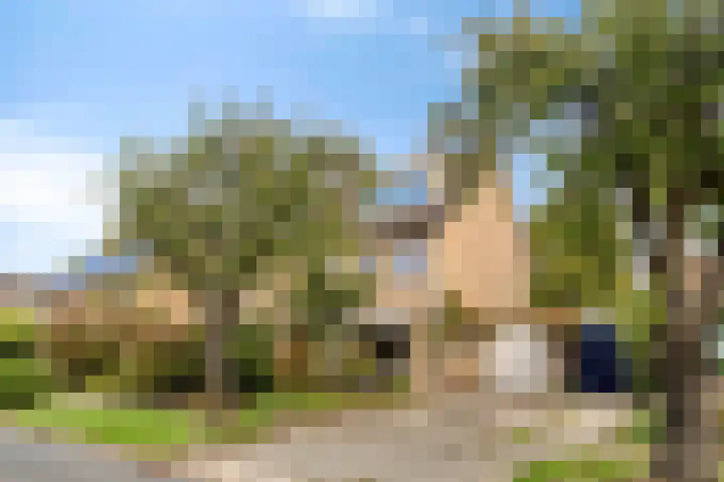 de Knobbe 6 Heino thumbnail 55