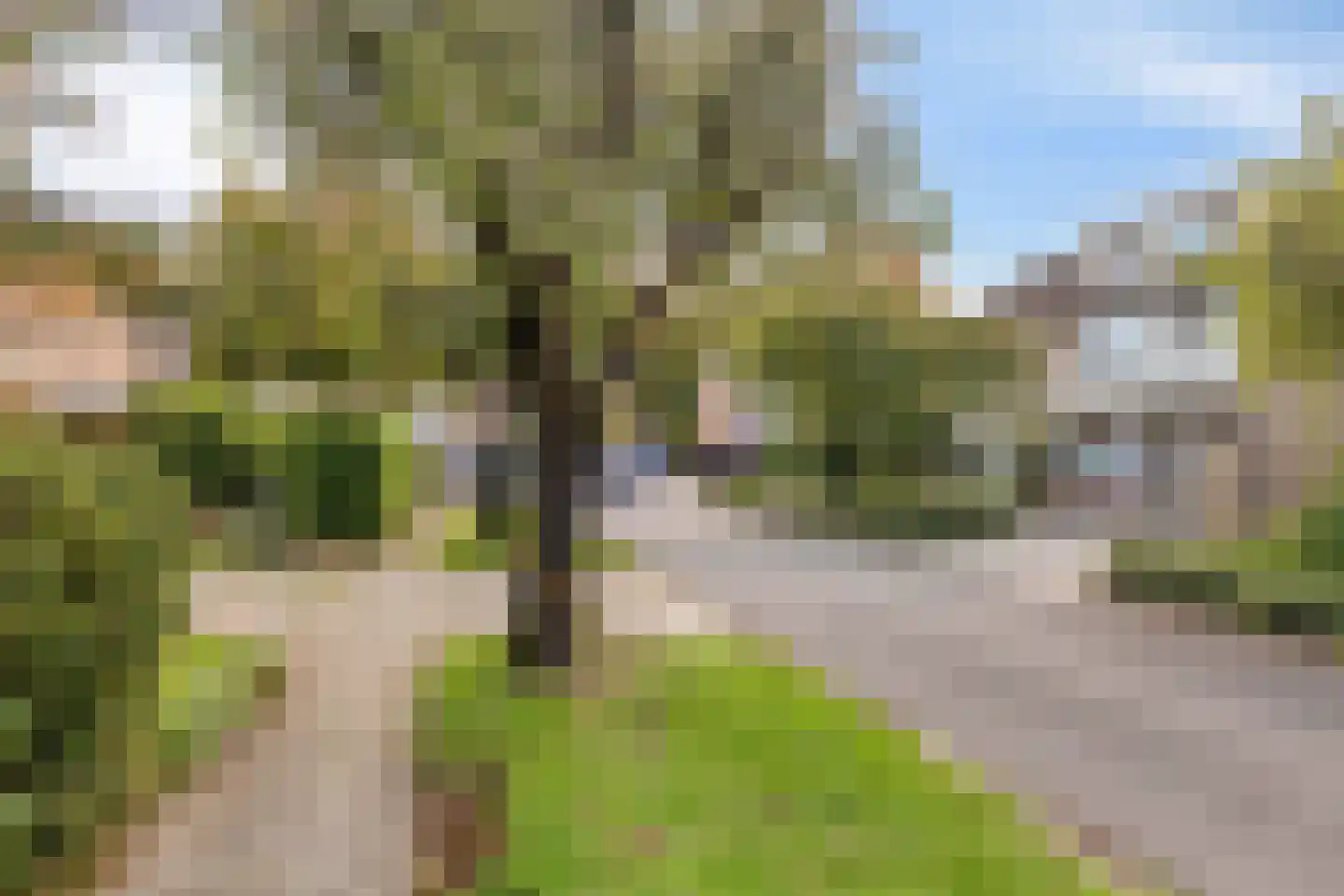 de Knobbe 6 Heino thumbnail 56