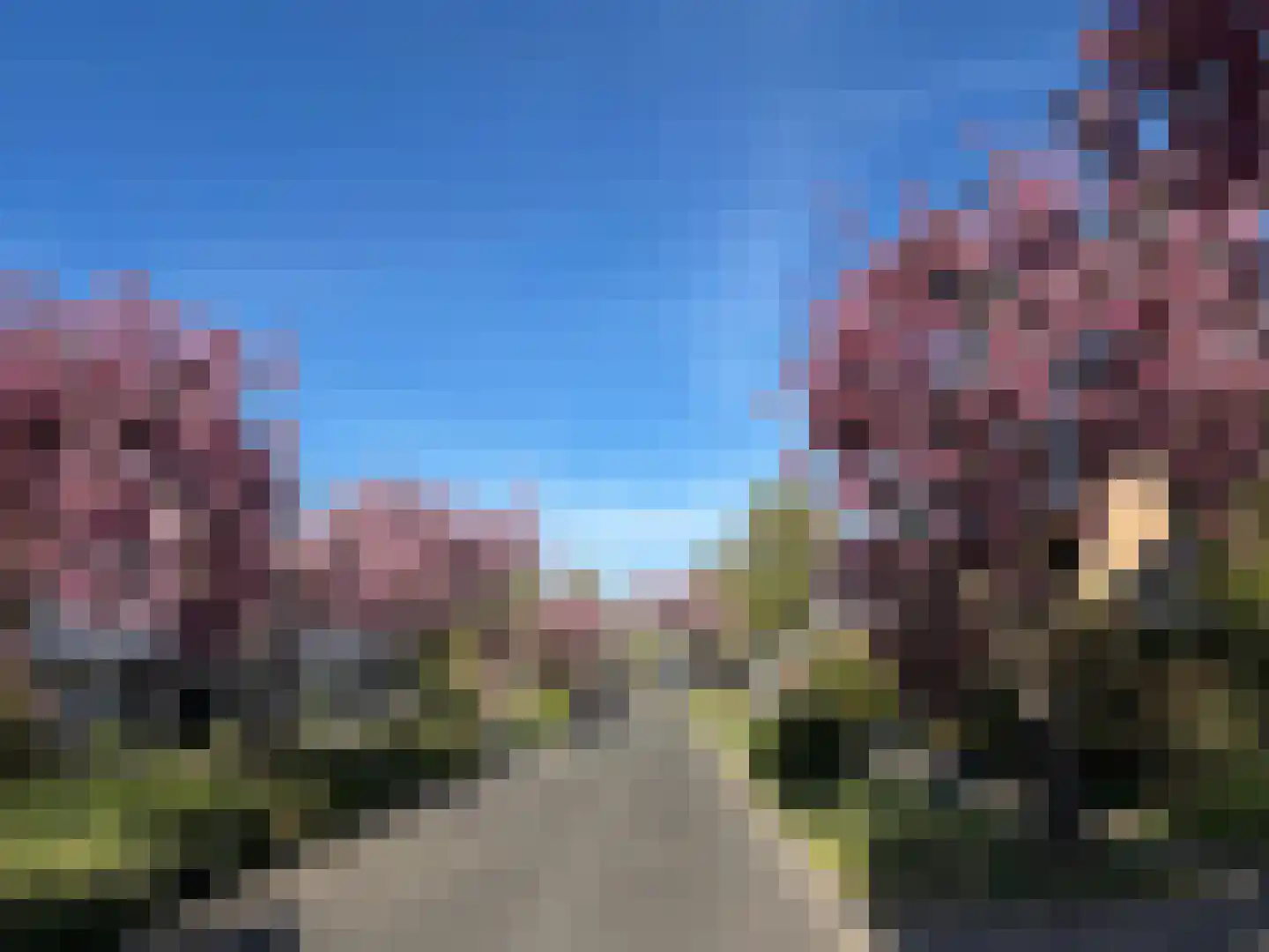 de Knobbe 6 Heino thumbnail 57