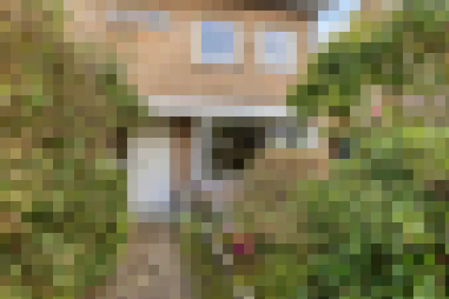 de Knobbe 6 Heino thumbnail 7