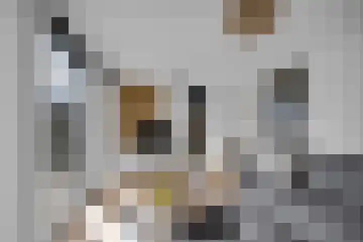 De Knokkels 1 Makkum thumbnail 17