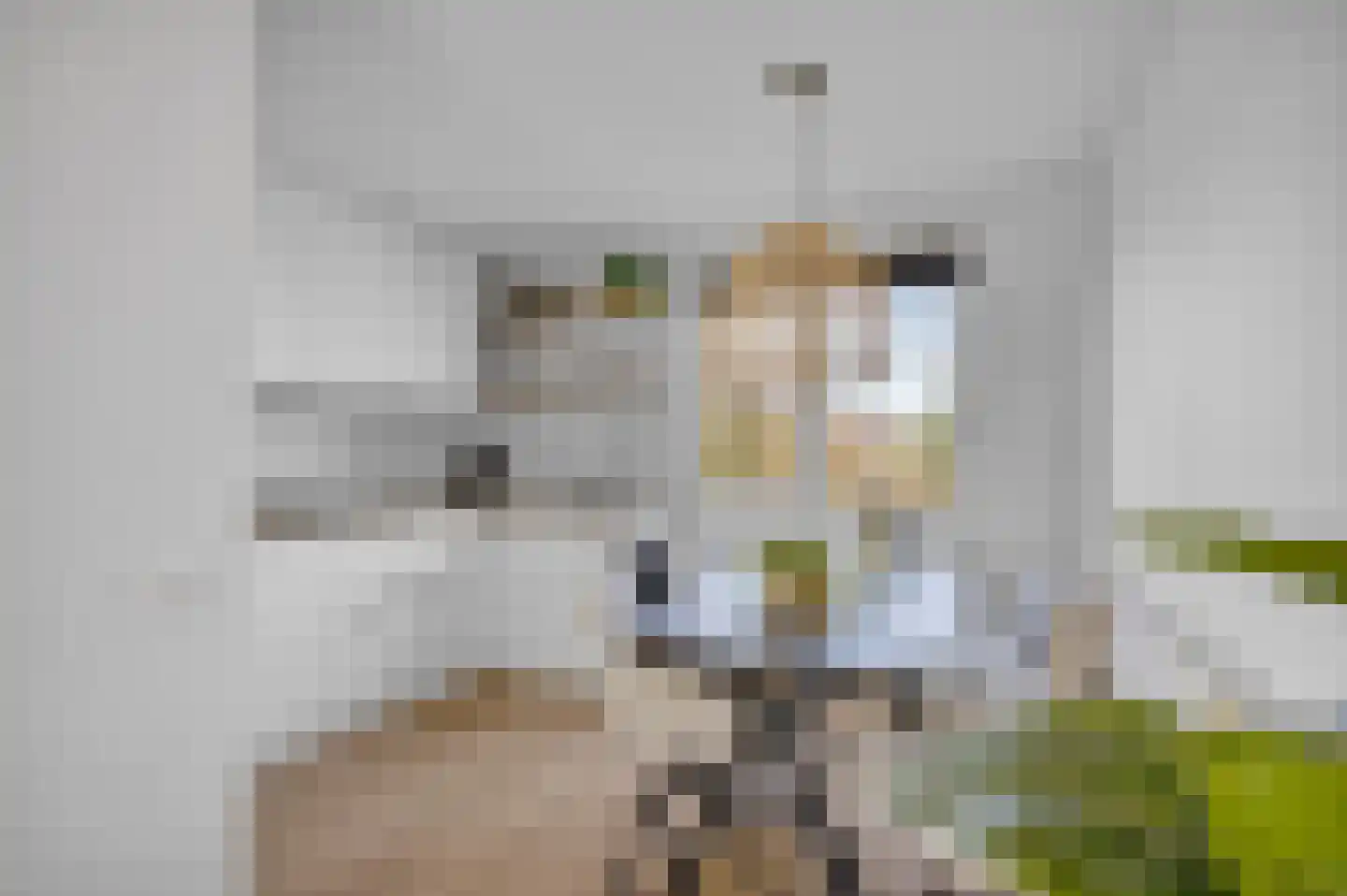 De Knokkels 1 Makkum thumbnail 19