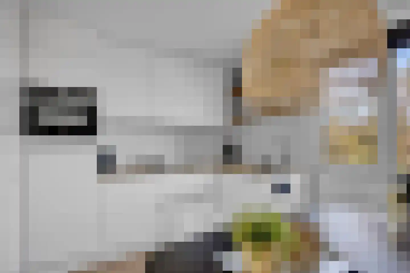 De Knokkels 1 Makkum thumbnail 20