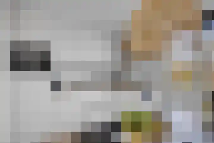 De Knokkels 1 Makkum thumbnail 20