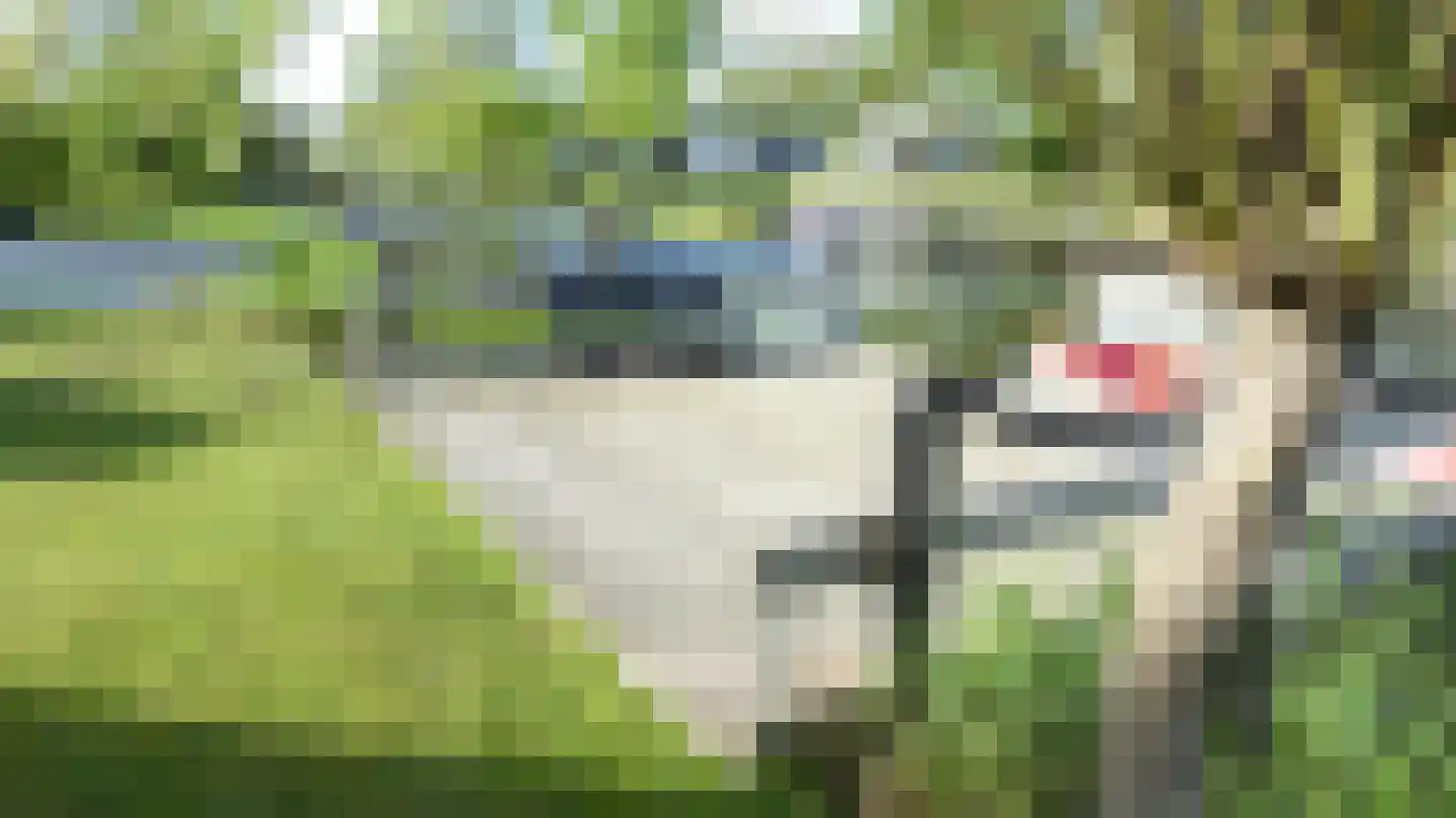 De Knokkels 19 Makkum thumbnail 29