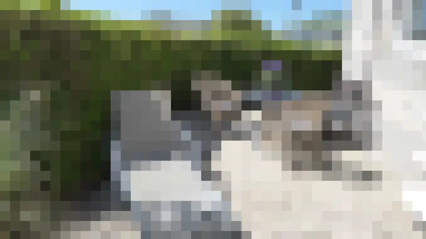 De Knokkels 19 Makkum thumbnail 38
