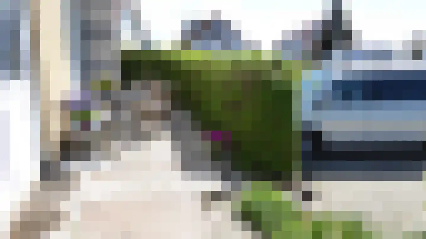 De Knokkels 19 Makkum thumbnail 39