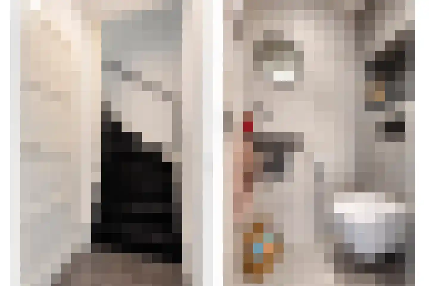 De Knolraap 10 Heesch thumbnail 20