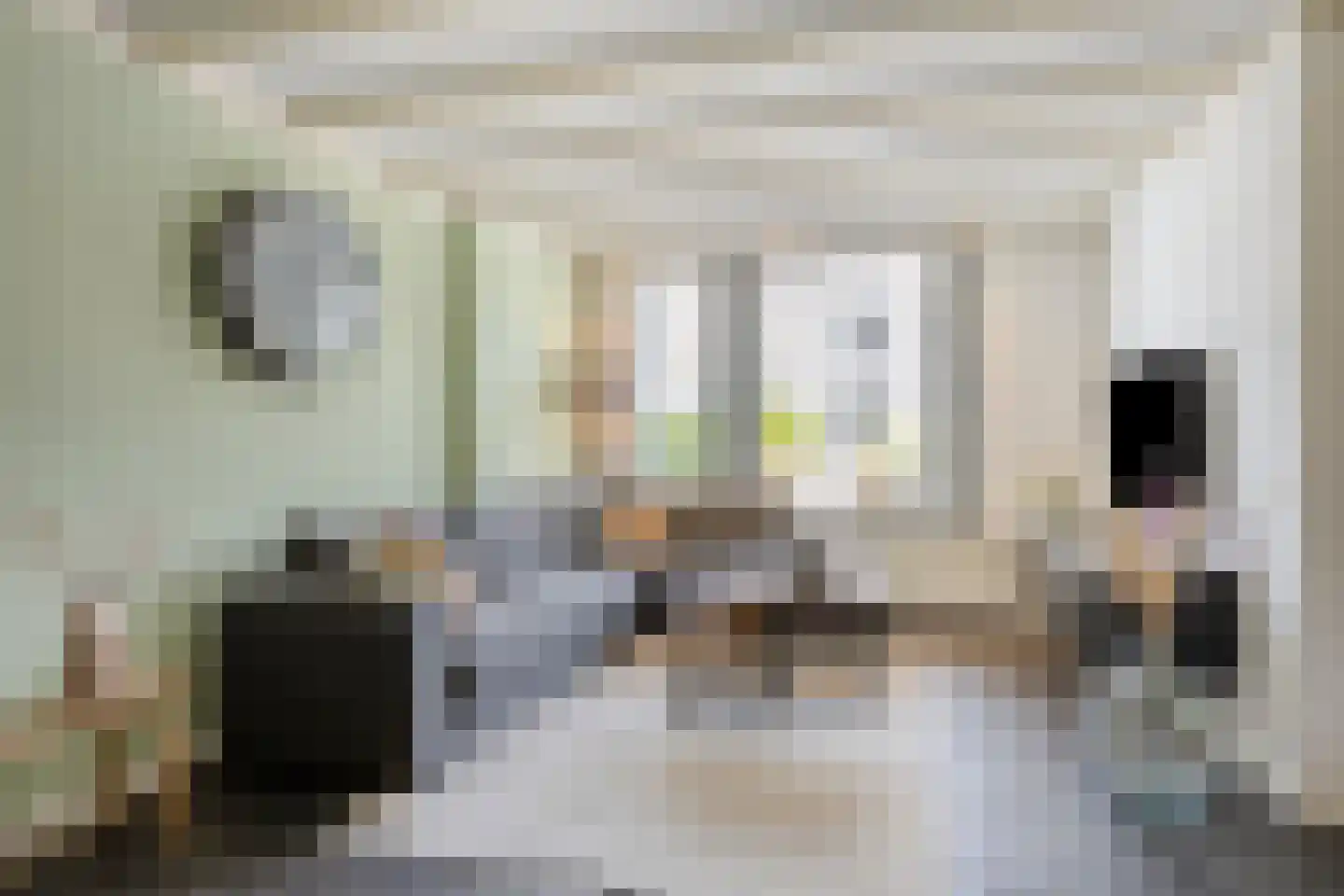 De Knolraap 10 Heesch thumbnail 7