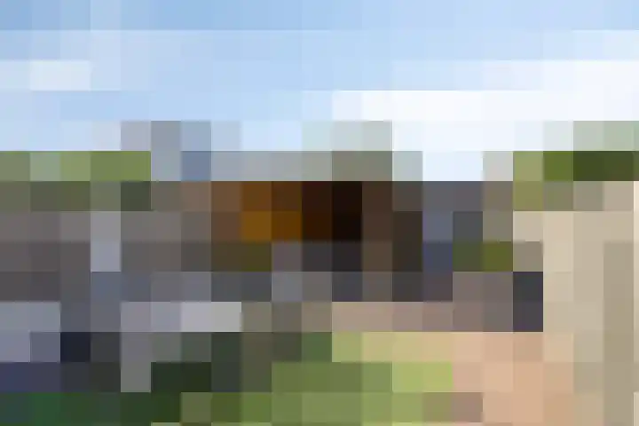De Knolraap 35 Heesch thumbnail 18
