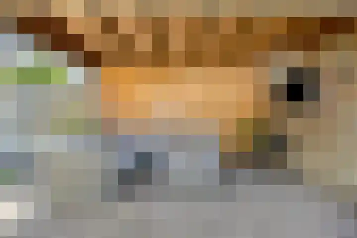 De Knolraap 35 Heesch thumbnail 19