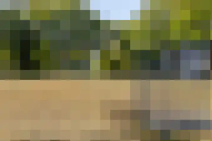 De Knolraap 35 Heesch thumbnail 24
