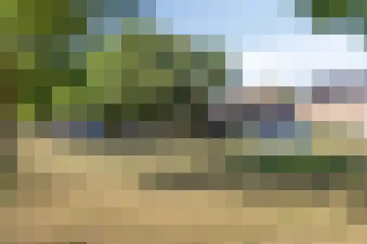 De Knolraap 35 Heesch thumbnail 25