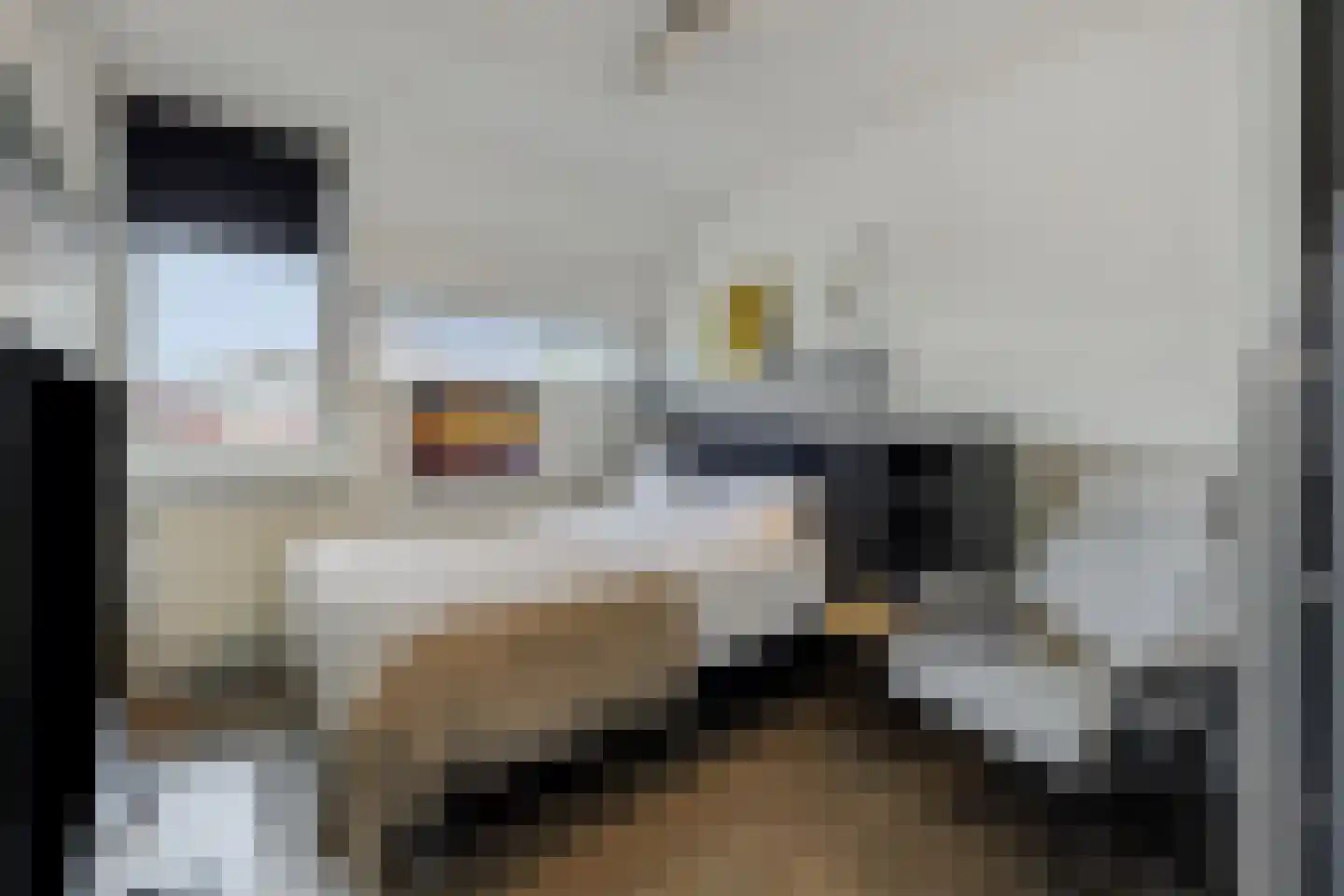 De Knolraap 37 Heesch thumbnail 18