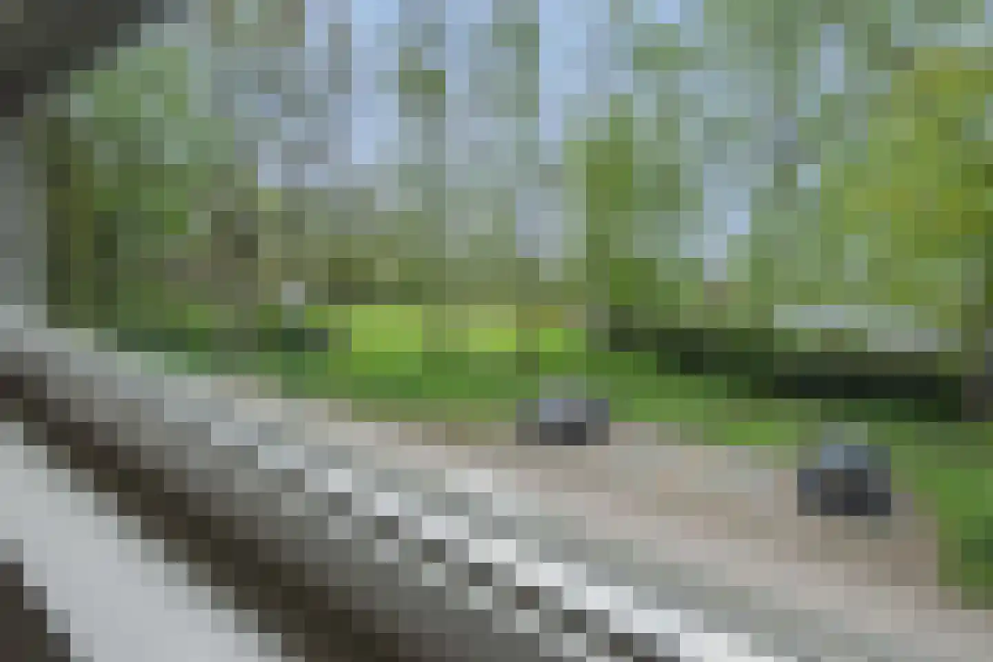 De Knolraap 37 Heesch thumbnail 20