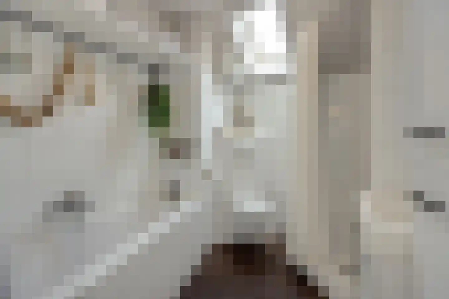 De Knolraap 37 Heesch thumbnail 23