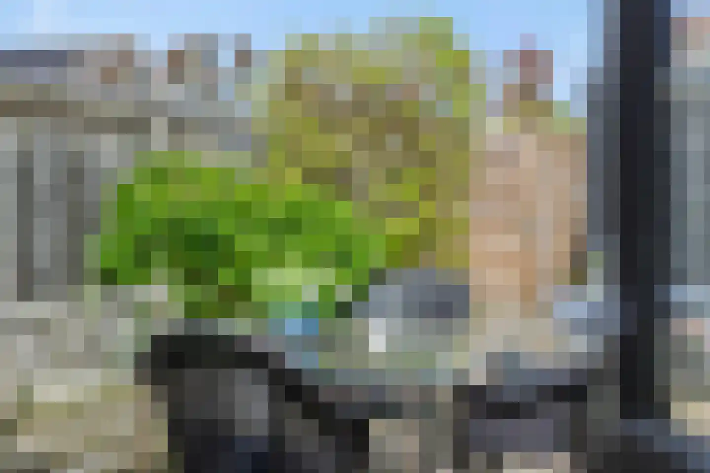 De Knolraap 37 Heesch thumbnail 32