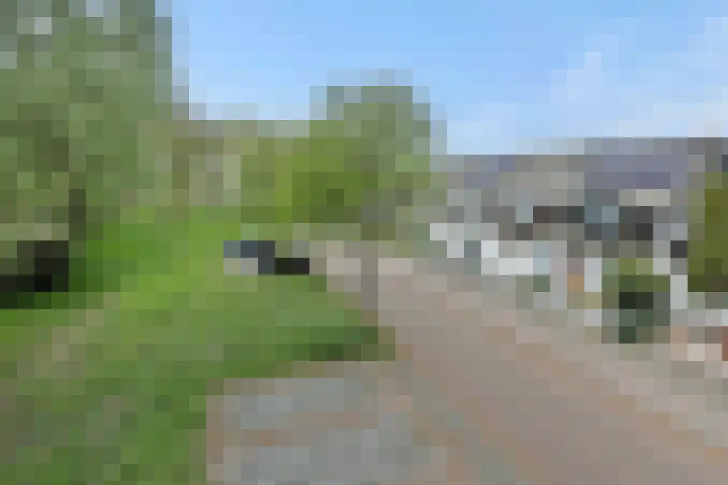 De Knolraap 37 Heesch thumbnail 40