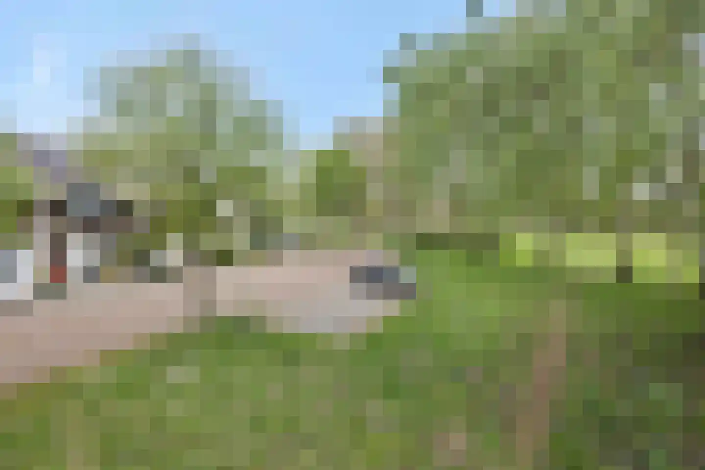 De Knolraap 37 Heesch thumbnail 43