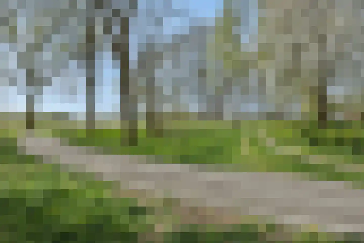 De Knolraap 37 Heesch thumbnail 45
